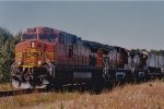 BNSF 4989 East